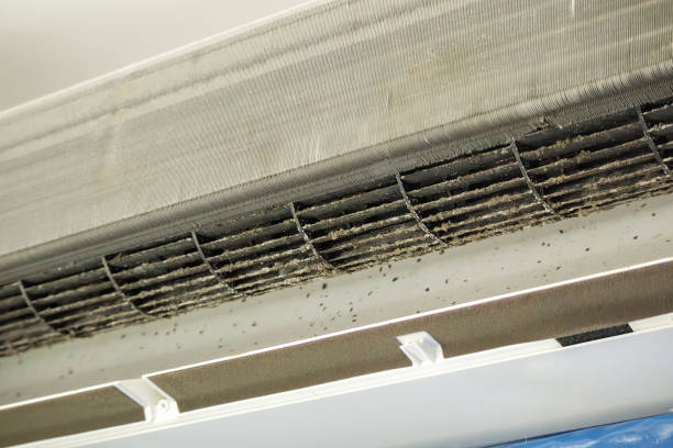 Best Affordable Air Duct Cleaning  in West Newton, PA